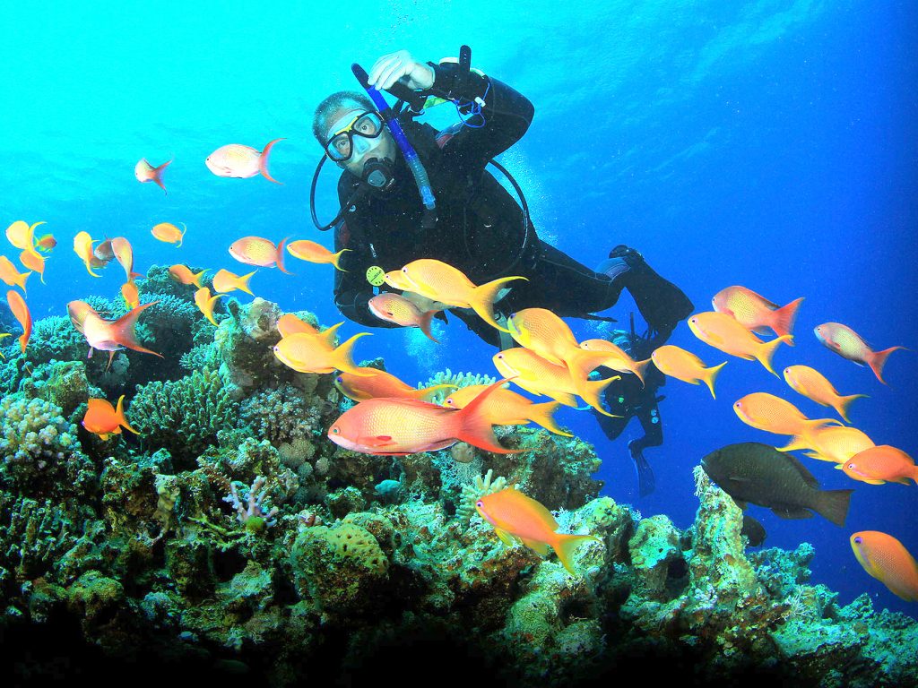 Scuba Diving for Certified Divers - Bali Diving Activities