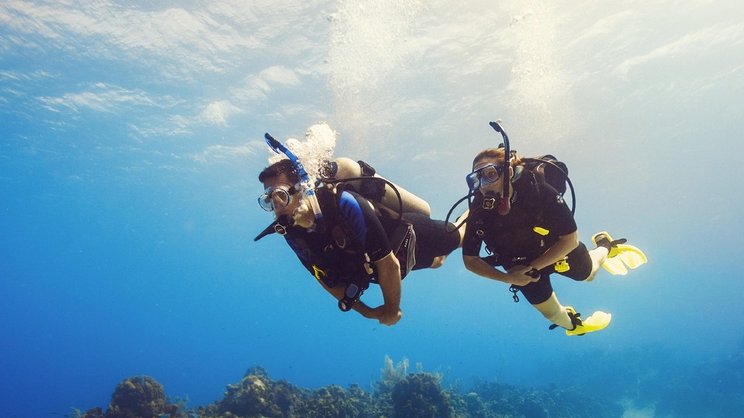 Snorkeling for Certified Divers - Bali Diving Activities