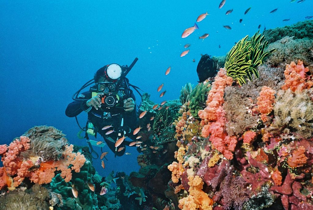 Diving Speciality Course by Ena - Bali Diving Activities