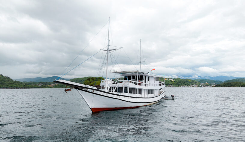 Private Trip by Deden Putra Superior Phinisi - Komodo Sharing Tours