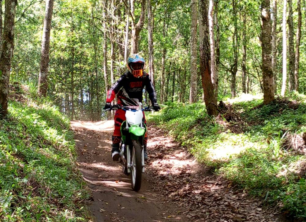 Full Day Kintamani Dense Forest Dirt Bike - Bali Dirt Bike