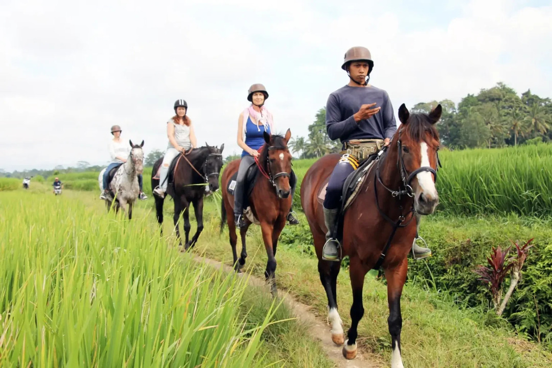 Ubud Horse Stable - Bali Horse Riding