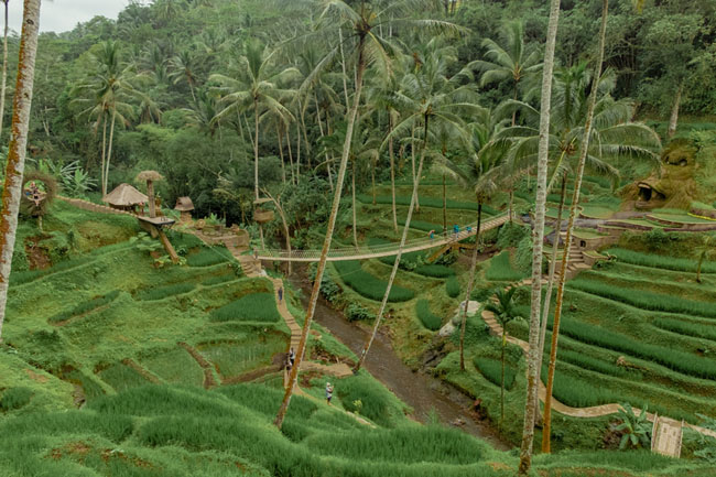 Alas Harum Agrotourism - Bali Adventures
