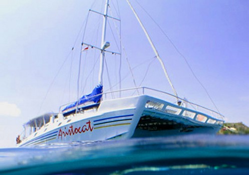 Aristocat Lembongan Cruise - Bali Sea Cruises