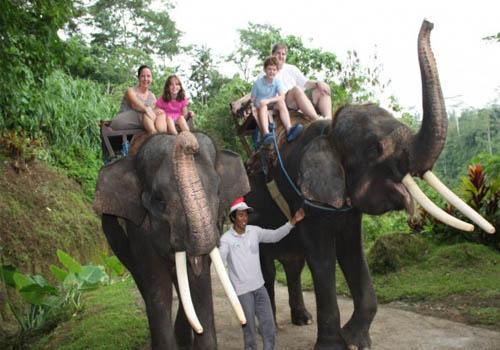Bakas Elephant Riding - Bali Fun Activities
