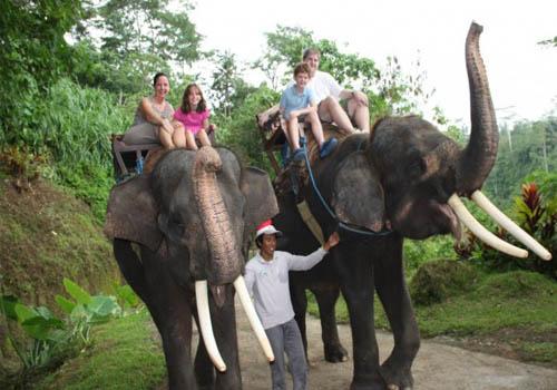 Bakas Elephant Riding - Bali Elephant Riding