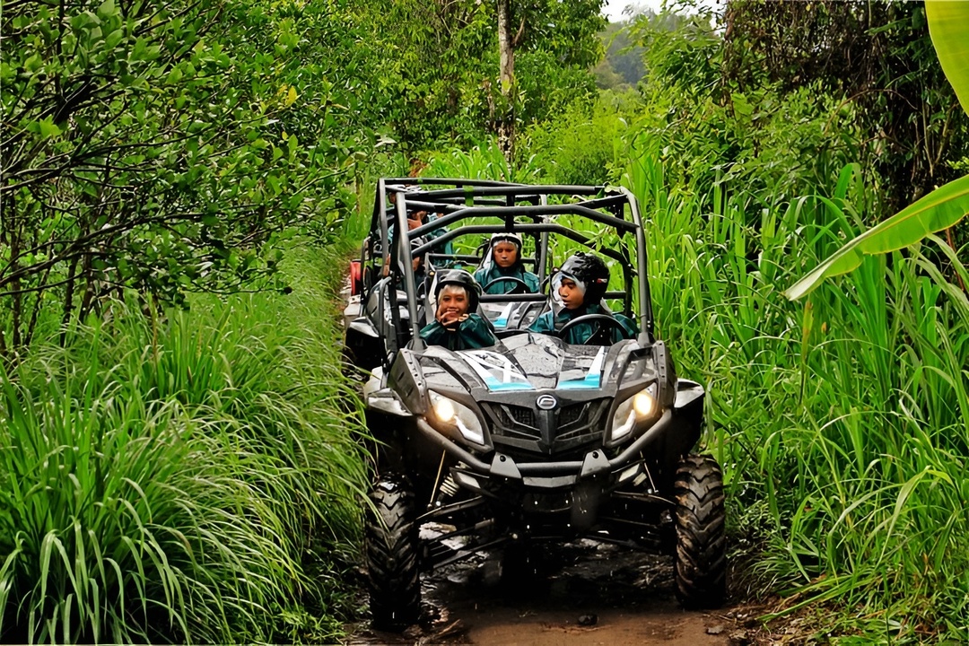 Buggy Explorer and Canyon Tubing by Bali Quad - Bali Double Activities