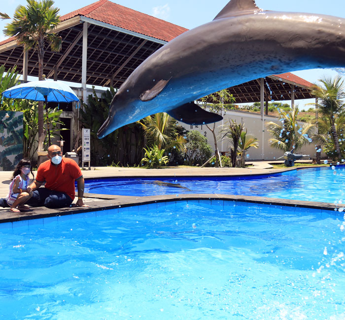 Bali Dolphin Marine Park - Bali Fun Activities