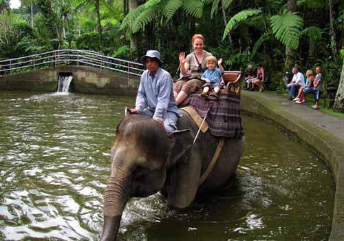 Bali Adventure Elephant Riding - Bali Fun Activities