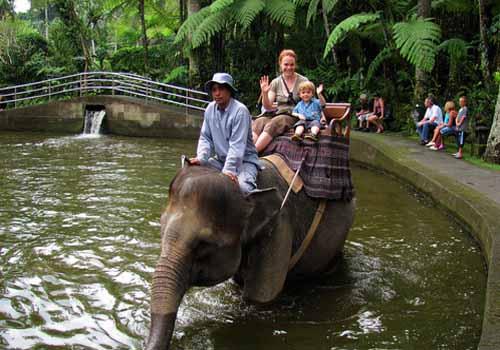 Bali Adventure Elephant Riding - Bali Elephant Riding