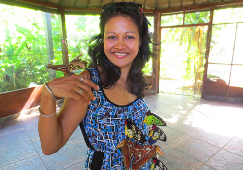 Bali Butterfly Park - Bali Fun Activities