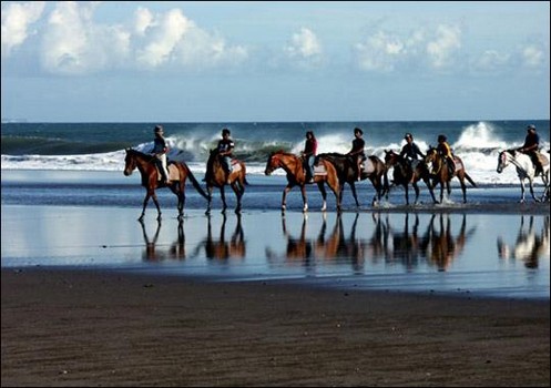 Bali Horse Riding at Pererenan - Bali Horse Riding