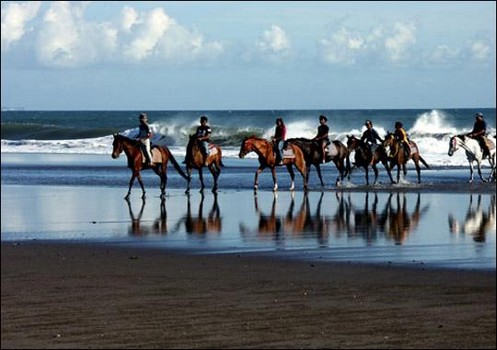 Bali Horse Riding at Pererenan - Bali Fun Activities