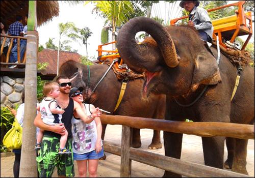 Bali Zoo Park - Bali Fun Activities