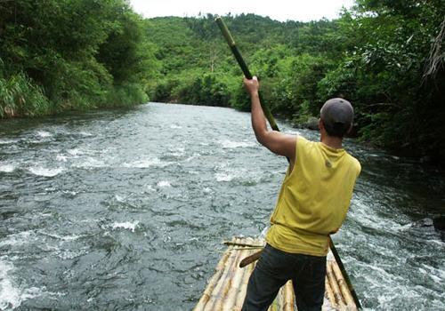 Jungle Trekking II 8 Days 7 Nights - Borneo Island