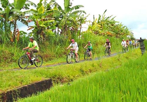 Bayan Cycling - Bali Cycling Tours