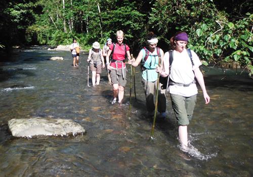 North Sumatra Special Tour 9 Days - Sumatra Adventure