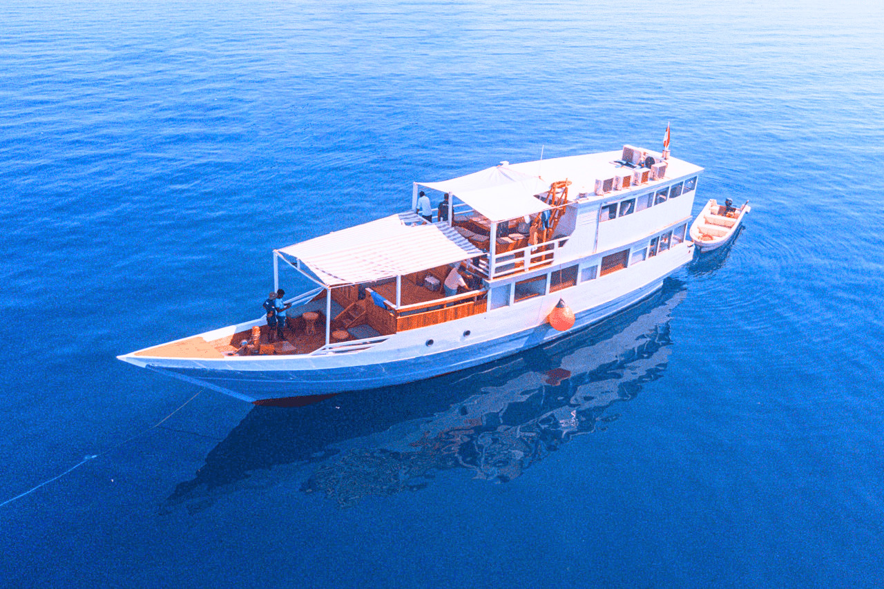 Open trip 3D2N by Dewi Anjani Deluxe Phinisi - Komodo Sharing Tours