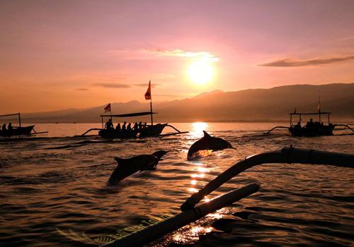 Overnight and Dolphin Tour - Bali Sightseeing Tours