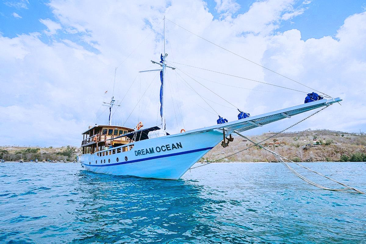 Komodo Open Trip 3D2N by Dream Ocean Luxury Phinisi - Komodo Sharing Tours