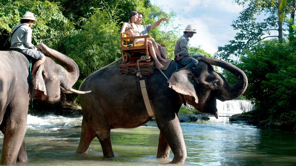 Water Rafting and Elephant Ride - Bali Double Activities
