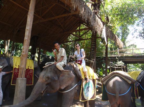 Trekking and Elephant Riding - Bali Double Activities