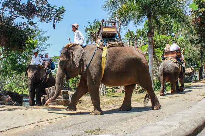 Water Rafting/ Elephant Ride and ATV Riding - Bali Triple Activities