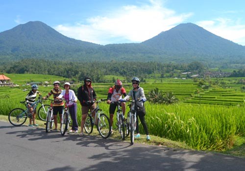 Jatiluwih and Kintamani Cycling - Bali Cycling Tours