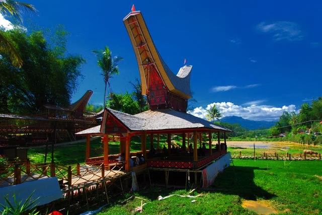 Toraja Culture and Nature Tour 4D3N - Tana Toraja