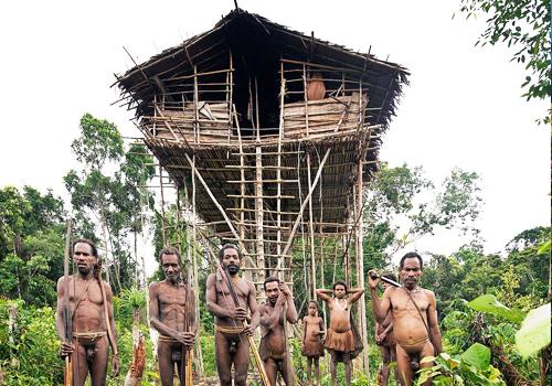 Baliem Valley and Tree House Tribe - Papua Adventures