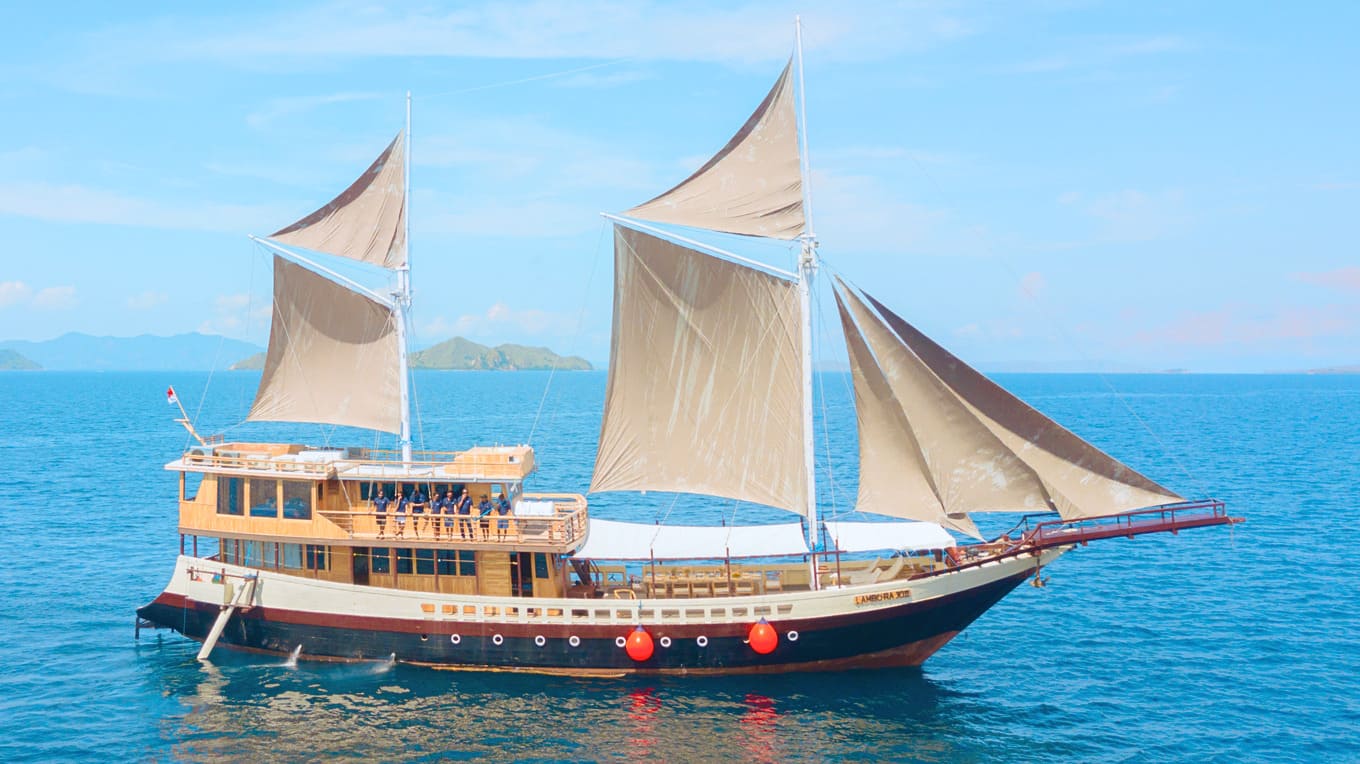 Open Trip 3D2N by Lamborajo 2 Luxury Phinisi - Komodo Sharing Tours