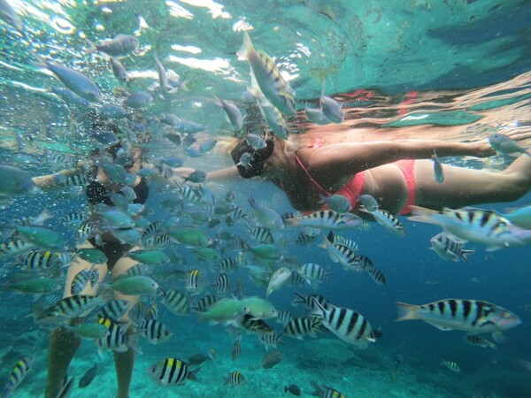 Nusa Penida and Lembongan Snorkeling Trips - Lembongan Activities