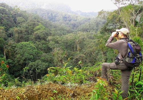 Leuser National Park Expedition 4 Days - Sumatra Adventure