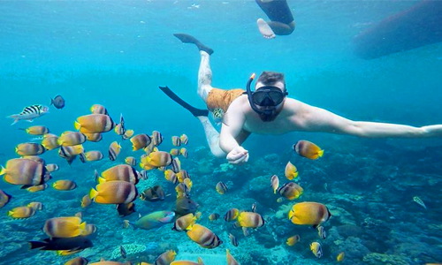 Nusa Penida Snorkeling Private Trip from Lembongan - Lembongan Activities