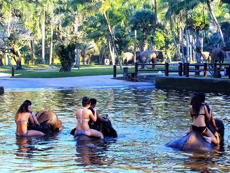 Elephant Bathe & Breakfast Tour by Mason Elephant Park - Bali Elephant Riding