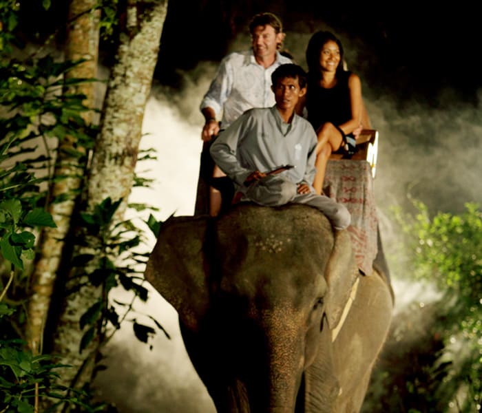 Night Safari Packages by Mason Elephant Park - Bali Fun Activities