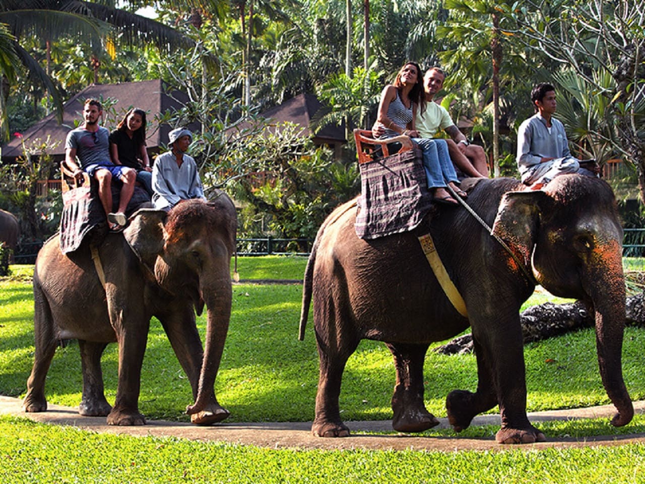 Elephant Safari Ride Packages by Mason Elephant Park - Bali Fun Activities