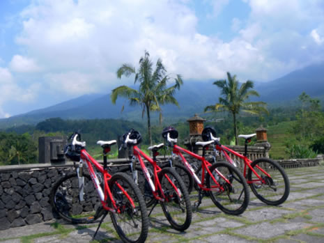Cycling Tour by BiO - Bali Cycling Tours