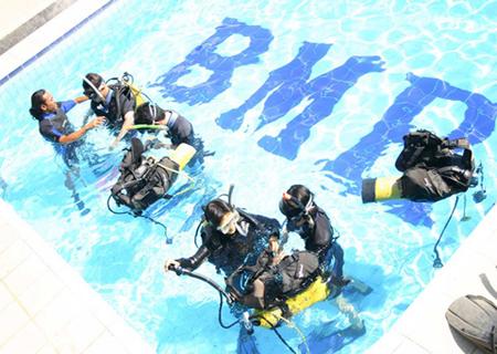 Diving Activities by BMR - Bali Diving Activities