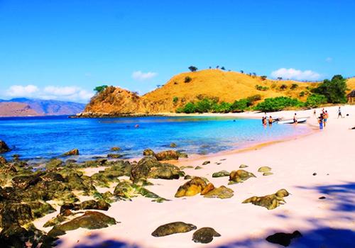 Komodo Island Sailing Tour 4 Days 3 Nights - Komodo Adventures