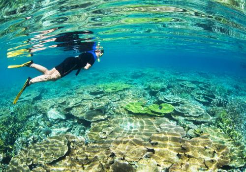 Raja Ampat Snorkeling 4 Days - Papua Adventures