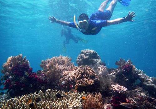 Raja Ampat Snorkeling 7 Days - Papua Adventures