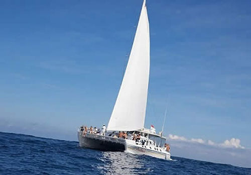 Sail Sensation Day Cruise - Bali Sea Cruises