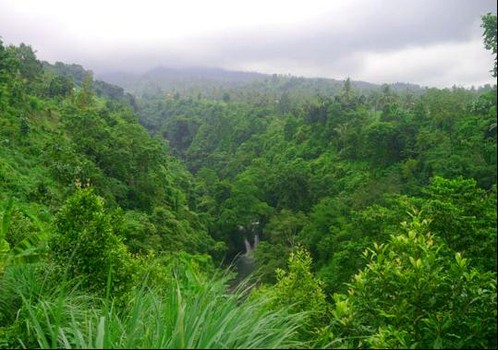 Sambangan Village Trekking - Bali Trekking