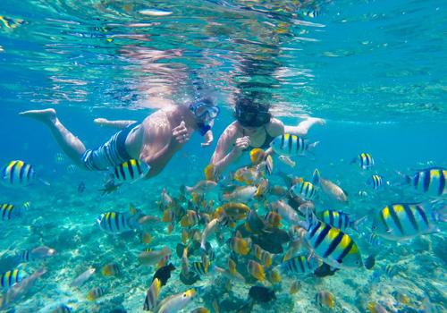 Lombok Snorkeling Tour 4 Days 3 Nights - Lombok Island