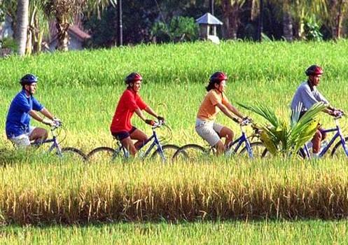 Cycling Batur by Sobek Adventure - Bali Cycling Tours