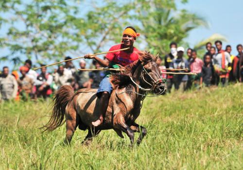 Sumba Pasola 4 Days 3 Nights - Sumba Island