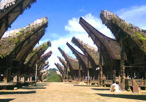 Toraja Culture and Nature Tour 3D2N - Tana Toraja