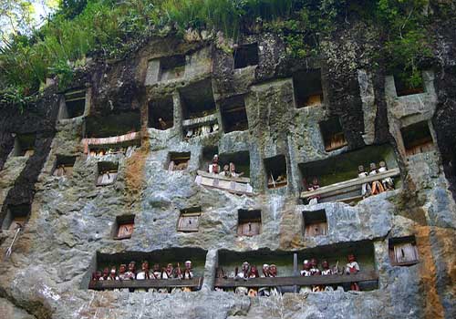 Toraja Culture and Nature Tour 5D4N - Tana Toraja