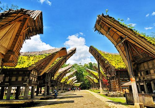 Bugis - Tana Toraja Tour 6D5N - Tana Toraja